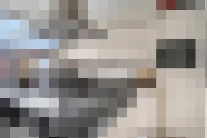 Fabriekslaantje 33 Tiel thumbnail 9