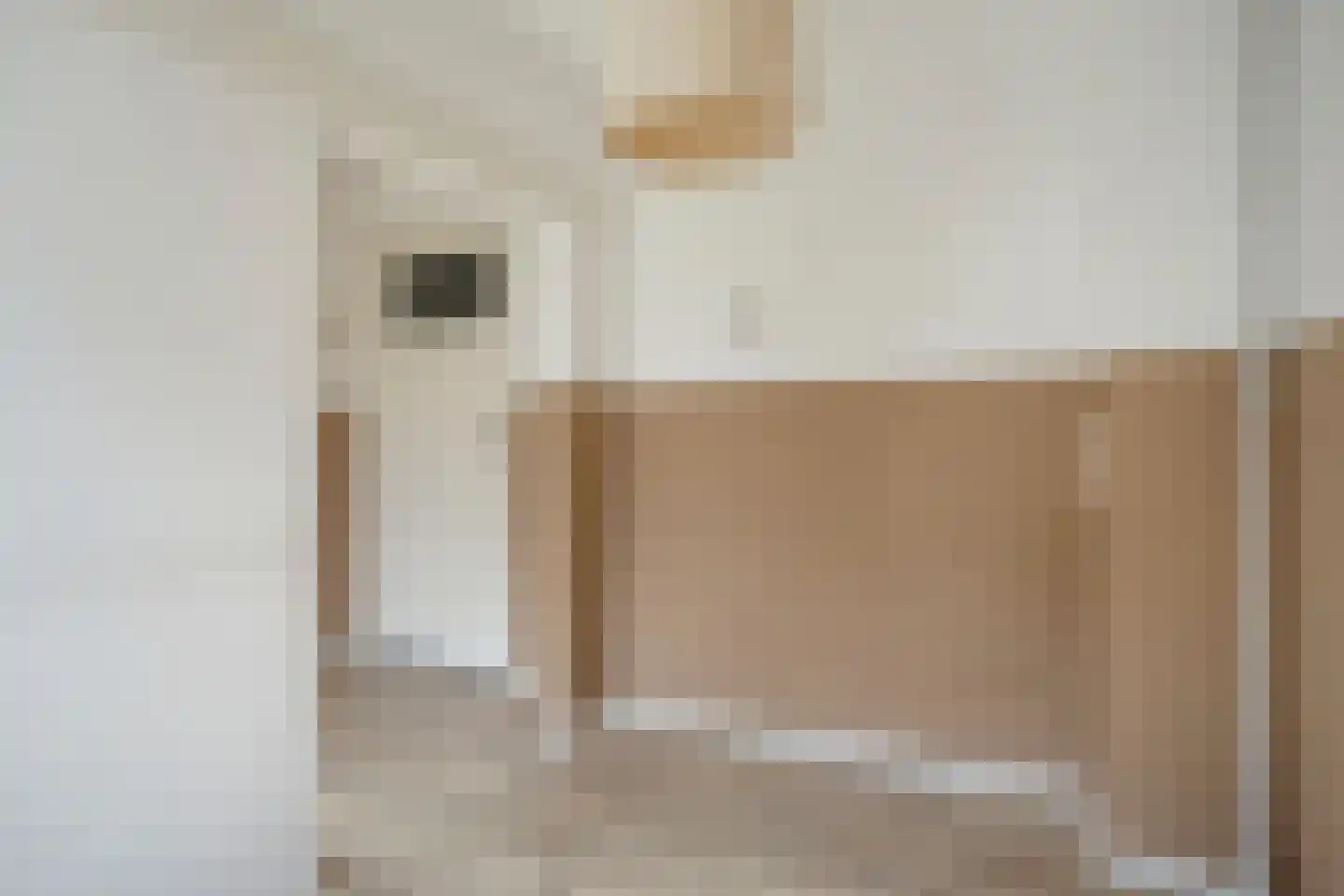 Fabriekslaantje 45 Tiel thumbnail 21