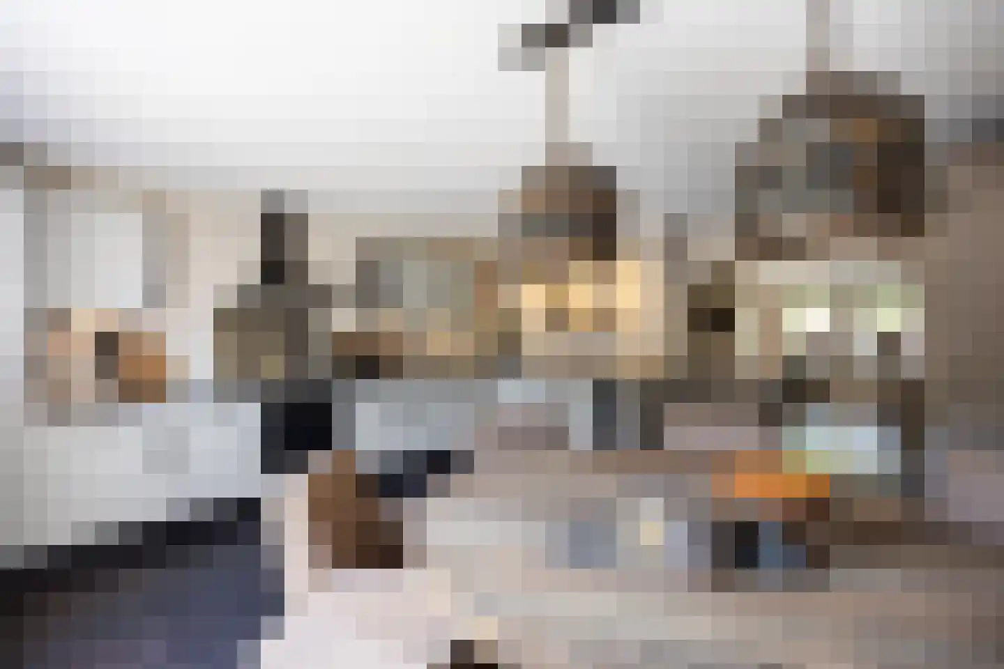 Fabrieksstraat 10 Norg thumbnail 19