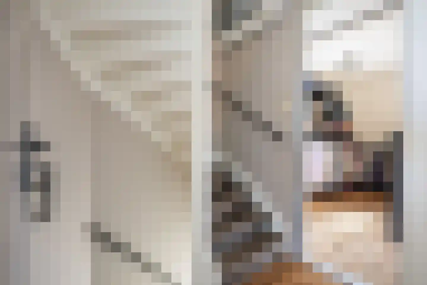 Fabrieksstraat 10 Norg thumbnail 24
