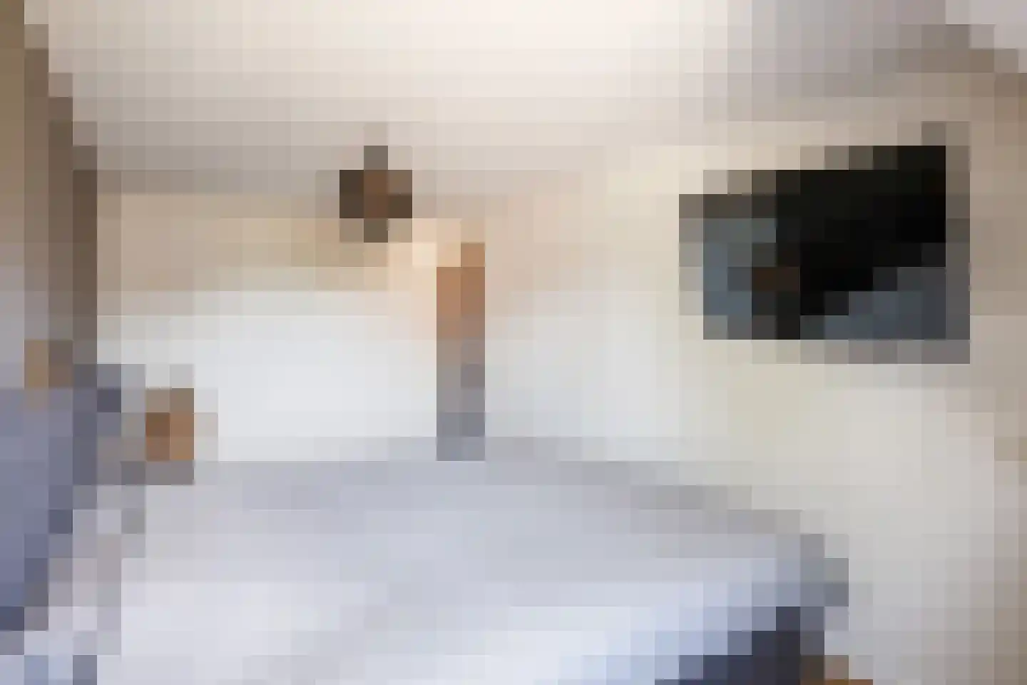 Fabrieksstraat 10 Norg thumbnail 28