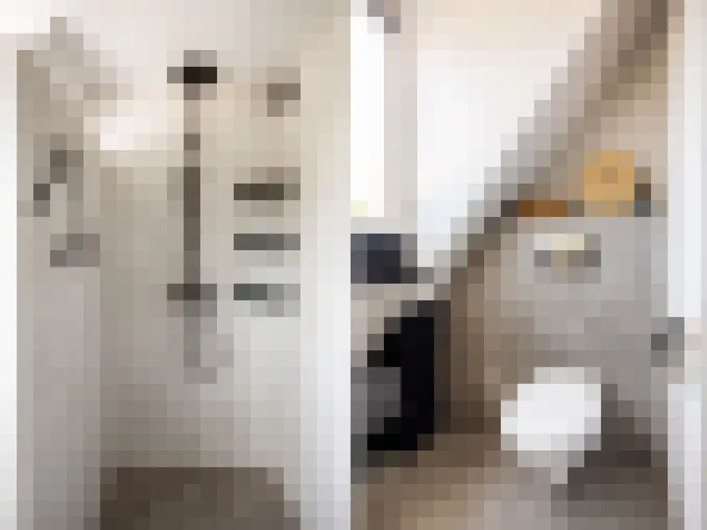 Fabrieksstraat 10 Norg thumbnail 32
