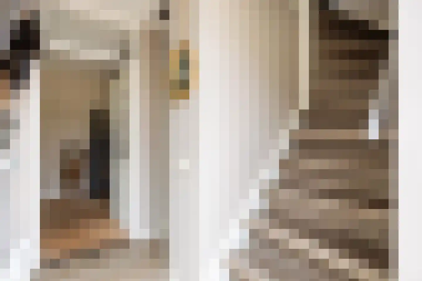 Fabrieksstraat 10 Norg thumbnail 6