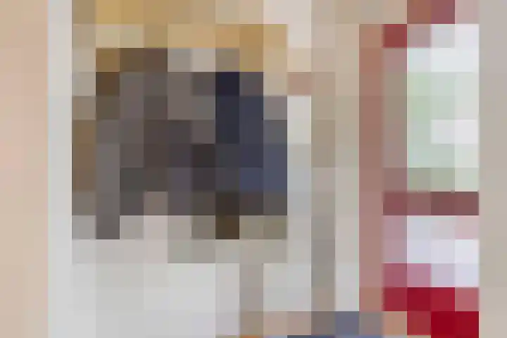 Fabrieksstraat 12 Zevenbergen thumbnail 7