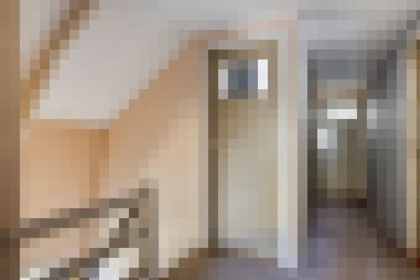 Fabrieksstraat 13 Warmenhuizen thumbnail 24