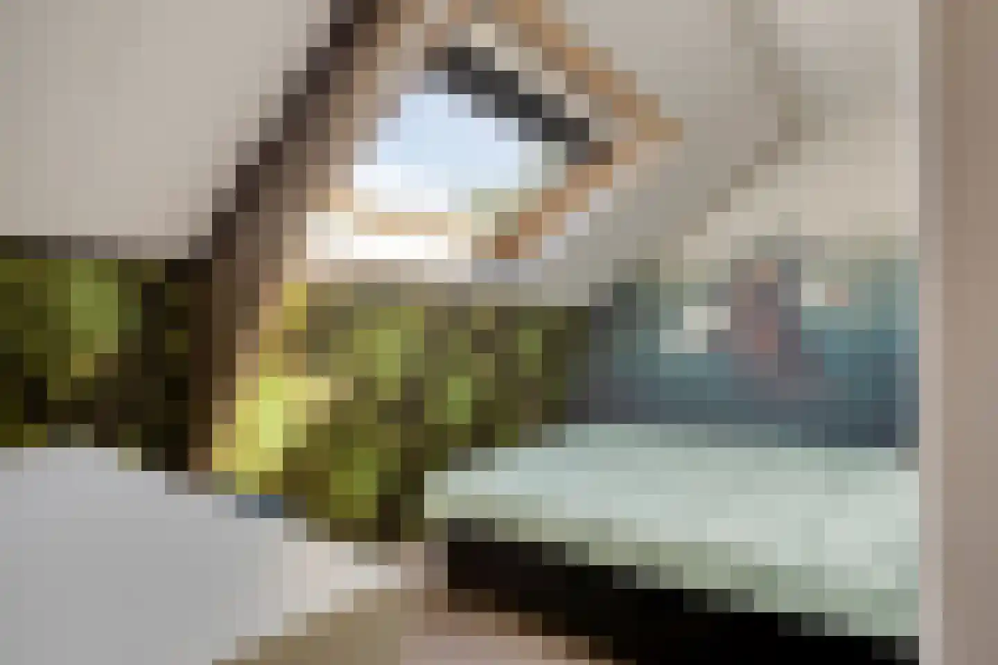 Fabrieksstraat 13 Warmenhuizen thumbnail 38