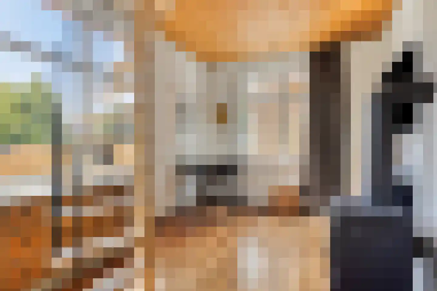 Fabrieksstraat 13 Warmenhuizen thumbnail 41