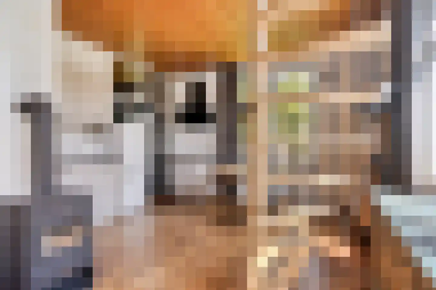 Fabrieksstraat 13 Warmenhuizen thumbnail 42