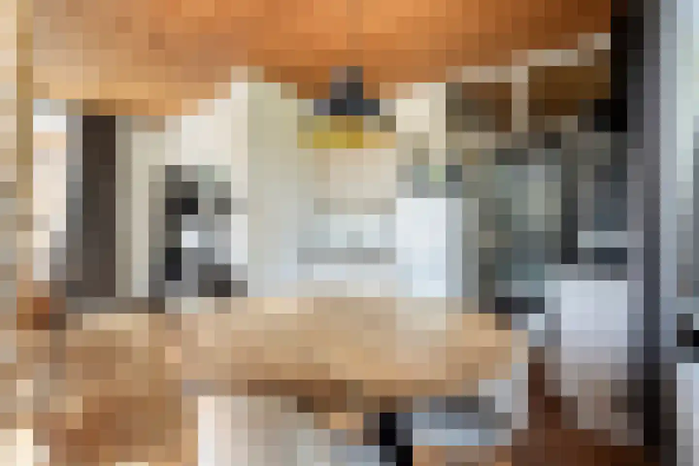 Fabrieksstraat 13 Warmenhuizen thumbnail 44