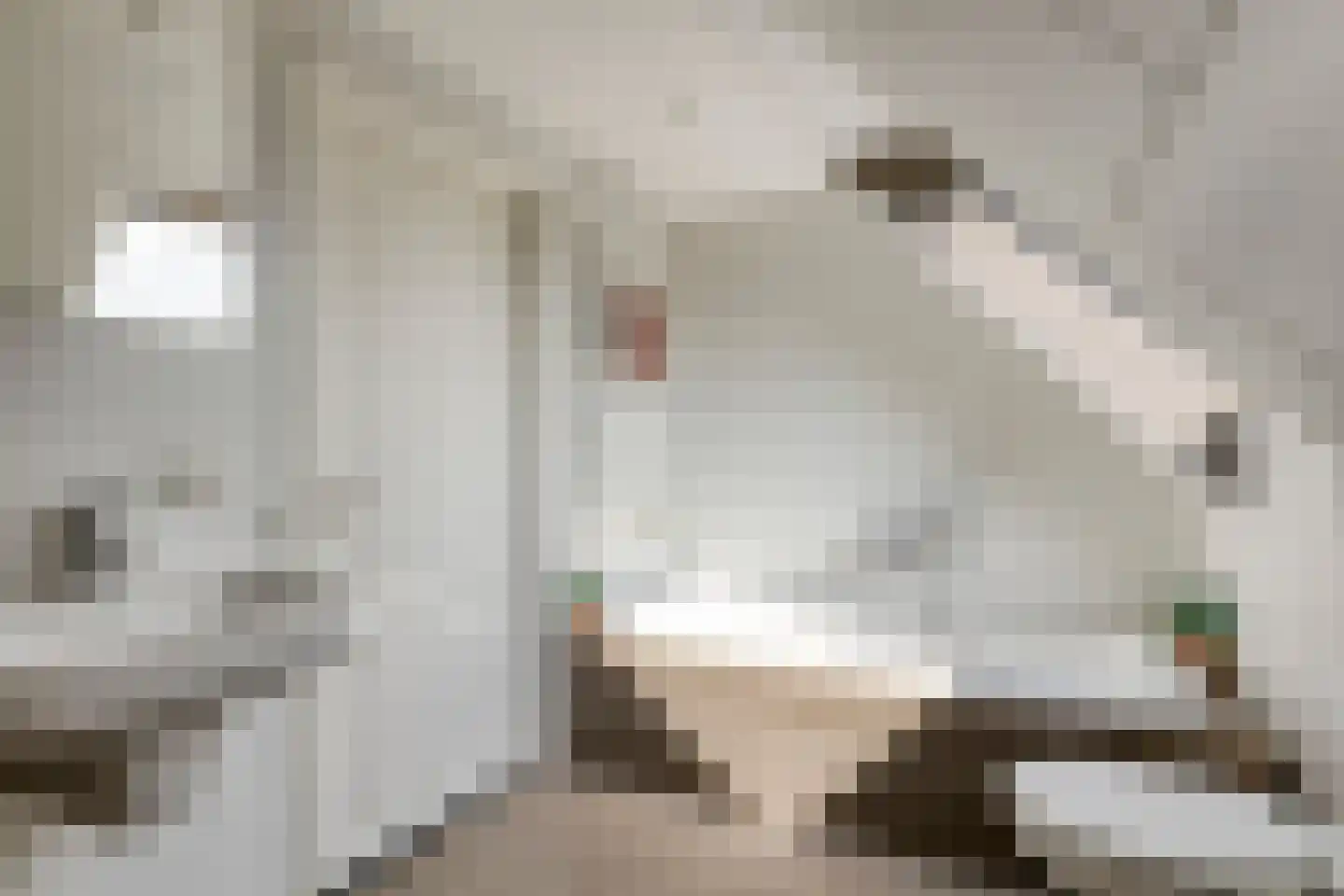 Fabrieksstraat 16 A Warmenhuizen thumbnail 13