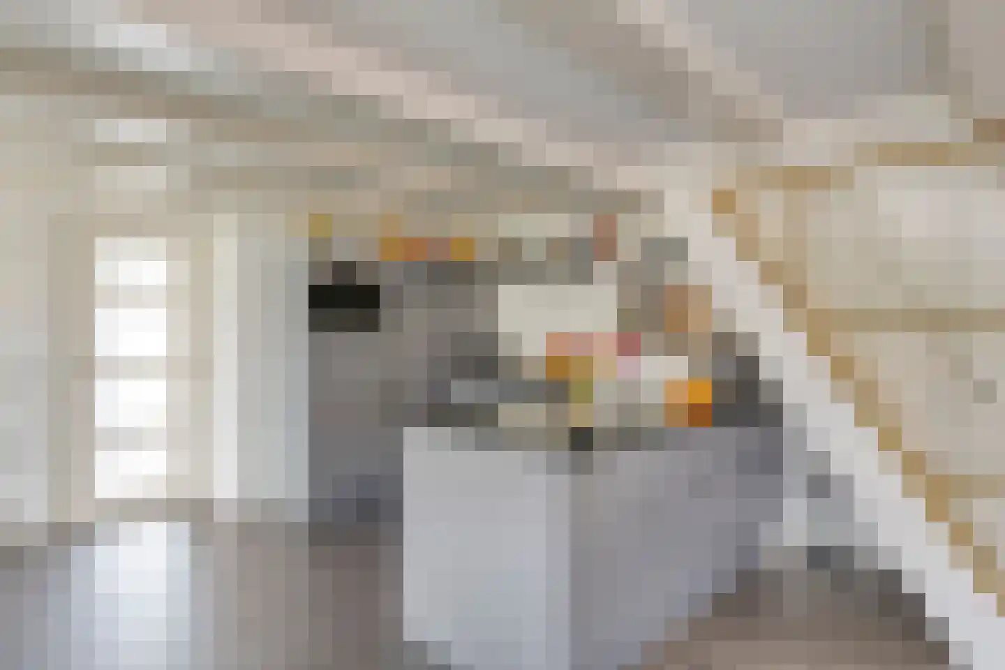Fabrieksstraat 16 A Warmenhuizen thumbnail 8