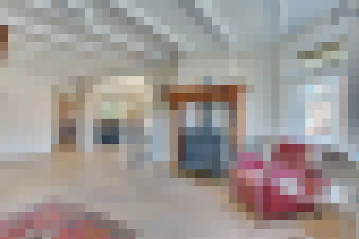 Fabrieksstraat 2 Warmenhuizen thumbnail 31