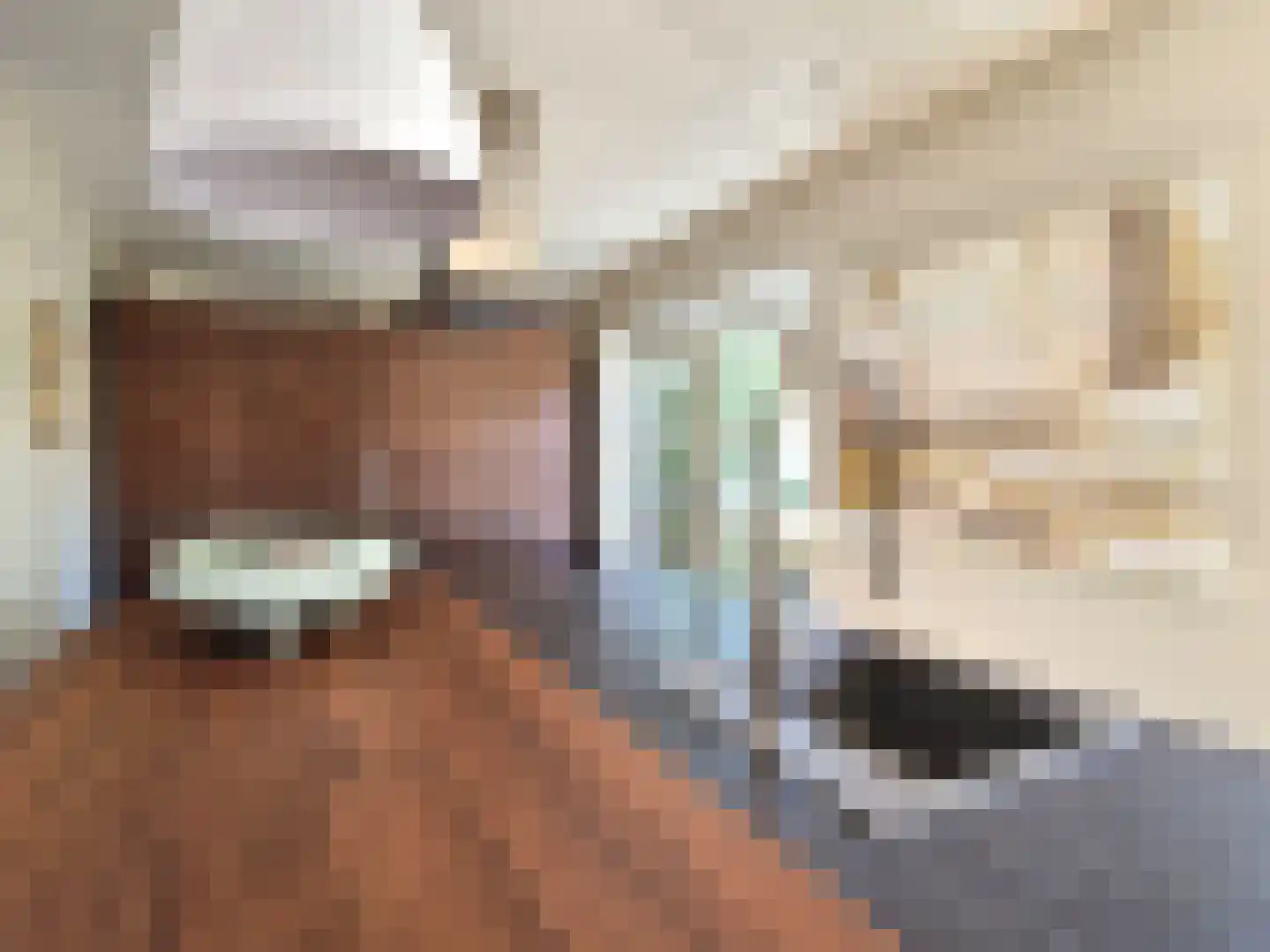Fabrieksstraat 2 Warmenhuizen thumbnail 37