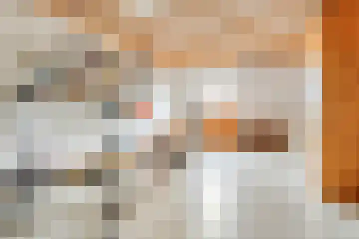 Fabrieksstraat 23 Budel thumbnail 22