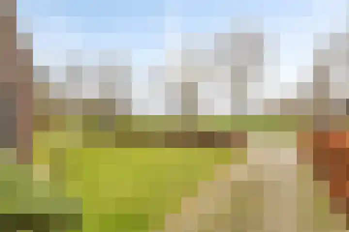 Fabrieksstraat 23 Budel thumbnail 27