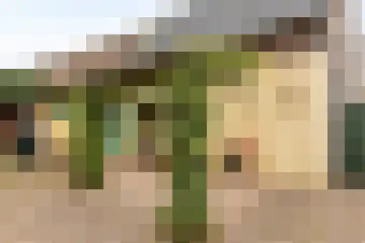 Fabrieksstraat 23 Budel thumbnail 32