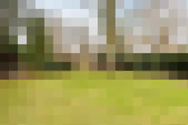 Fabrieksstraat 23 Budel thumbnail 35