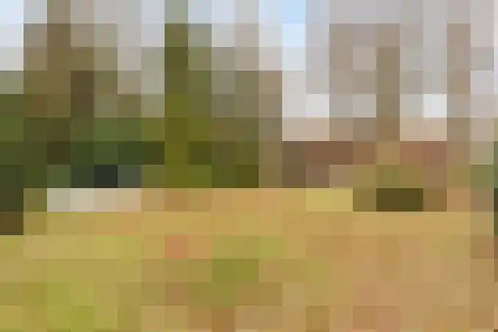 Fabrieksstraat 23 Budel thumbnail 36