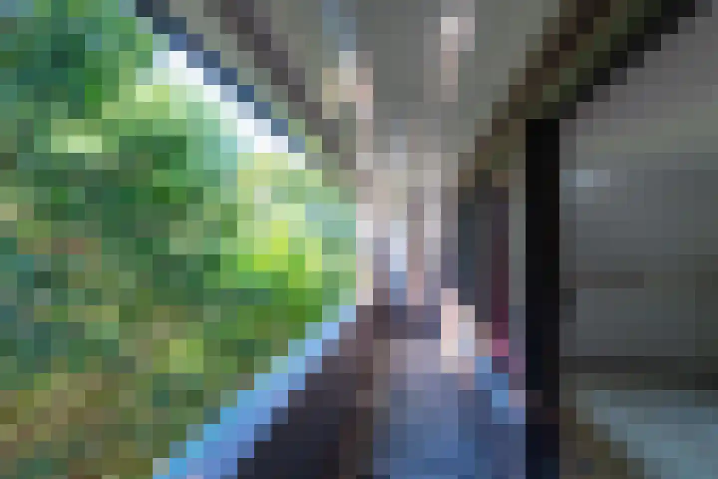 Fabrieksstraat 23 Warmenhuizen thumbnail 28