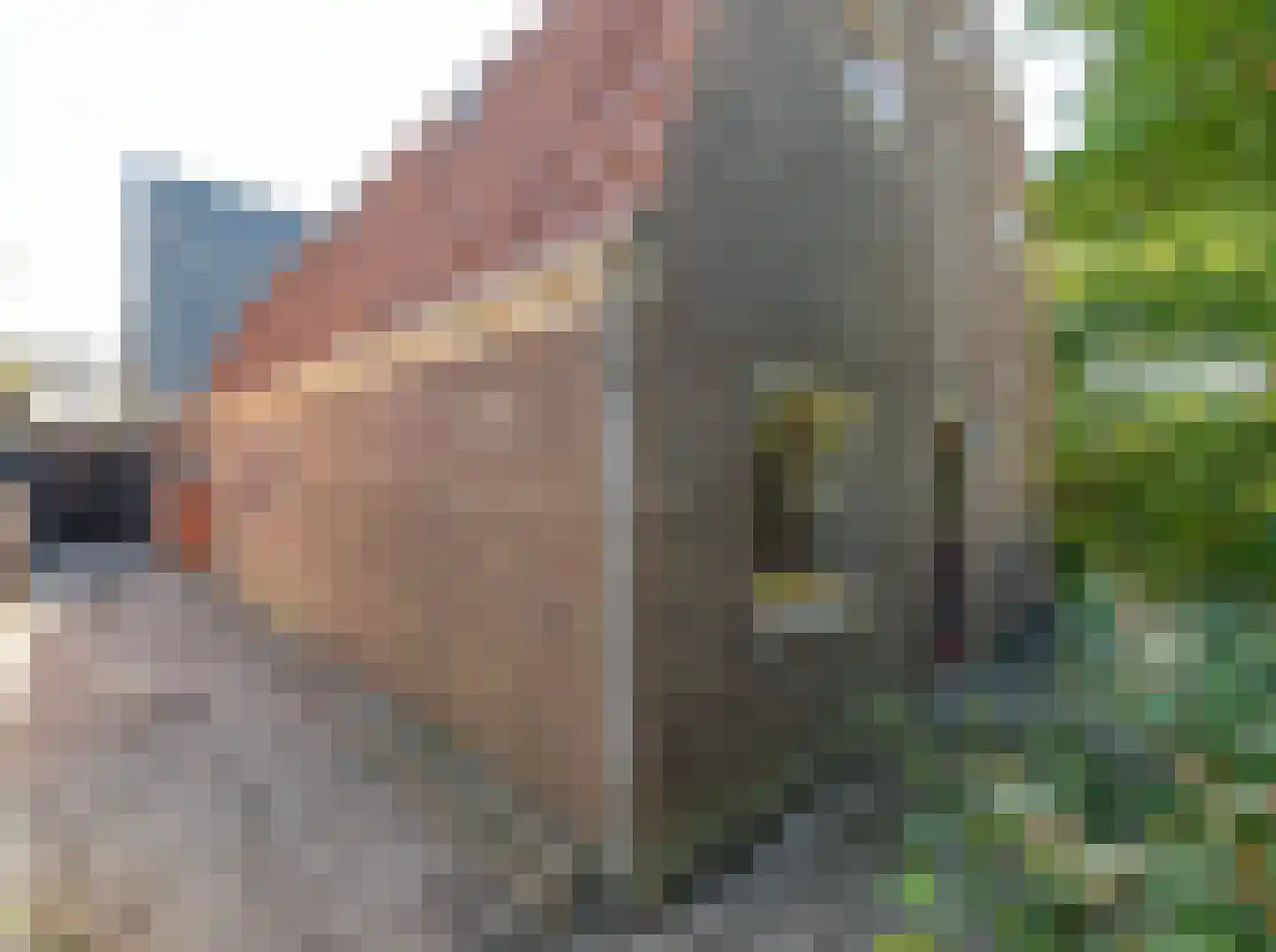 Fabrieksstraat 23 Warmenhuizen thumbnail 68
