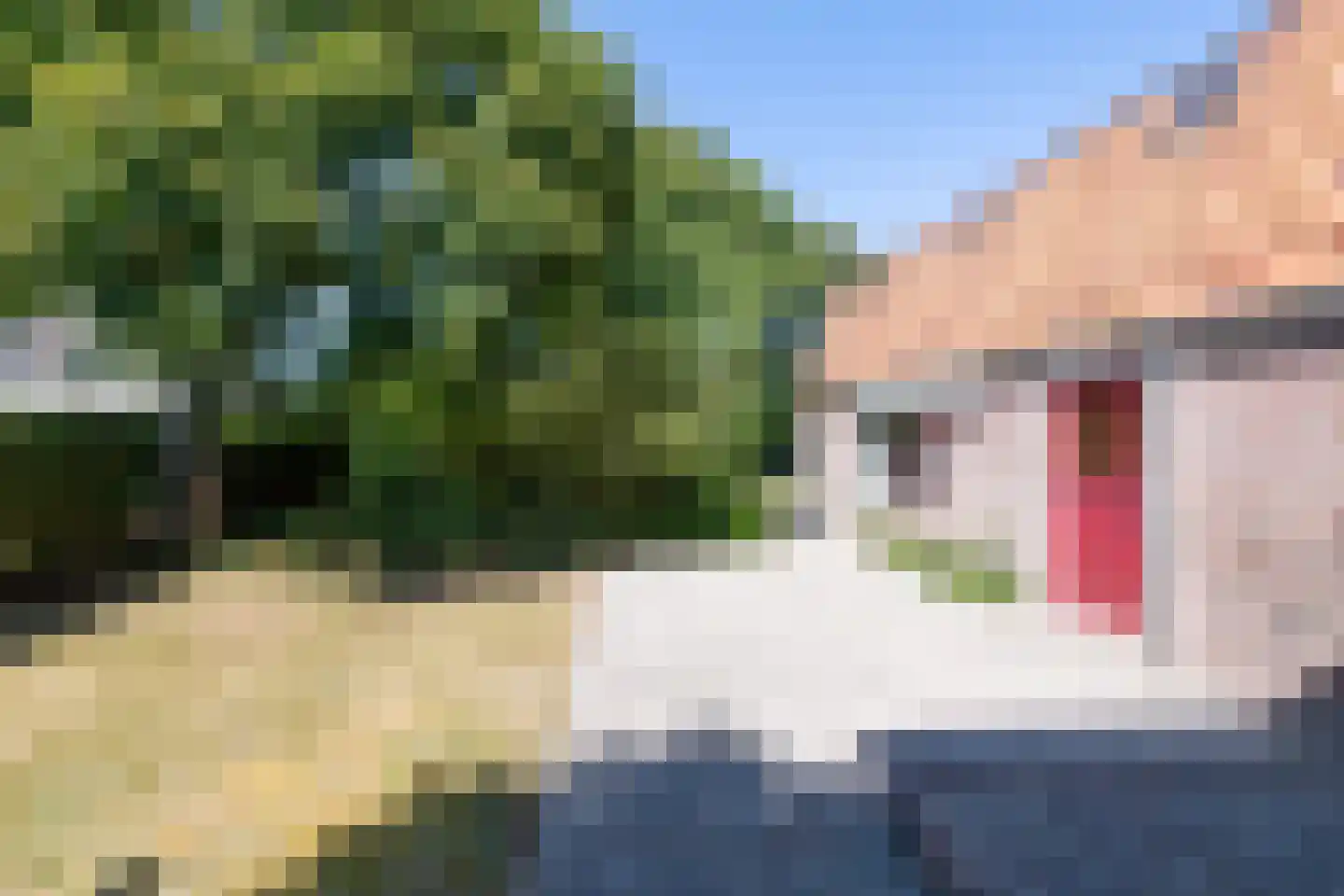 Fabrieksstraat 23 Warmenhuizen thumbnail 71