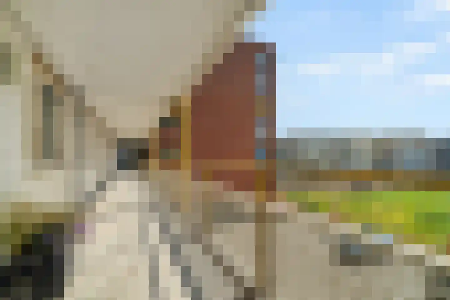 Fabrieksstraat 24 Delft thumbnail 7
