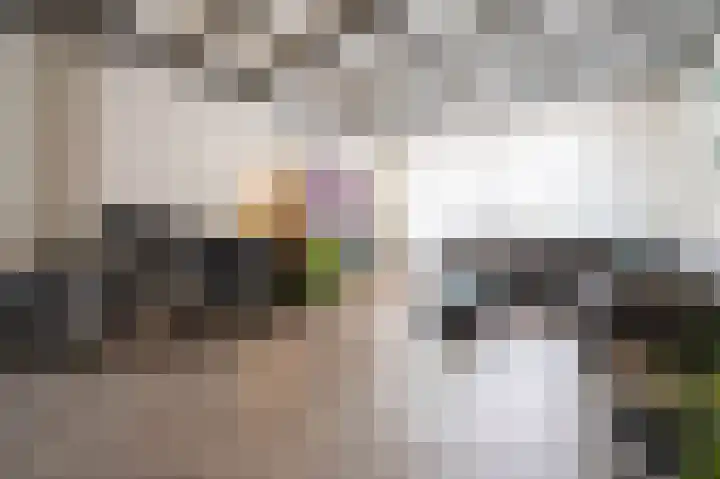 Fabrieksstraat 33 Halsteren thumbnail 10