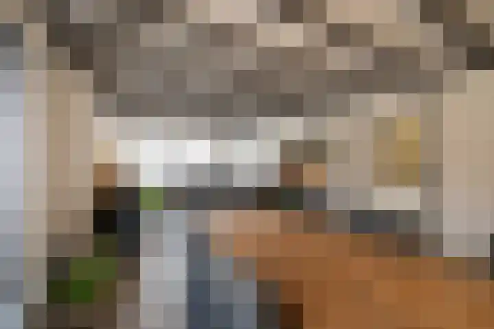 Fabrieksstraat 33 Halsteren thumbnail 12