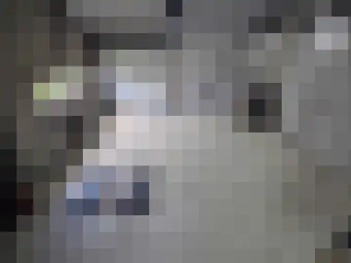 Fabrieksstraat 33 Halsteren thumbnail 37