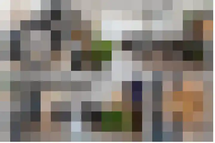 Fabrieksstraat 33 Halsteren thumbnail 7