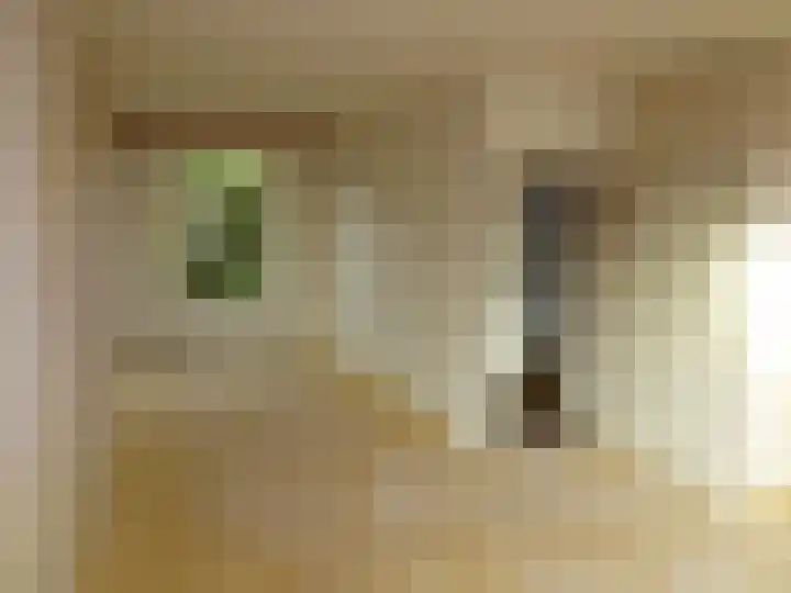 Fabrieksstraat 35 Warmenhuizen thumbnail 10