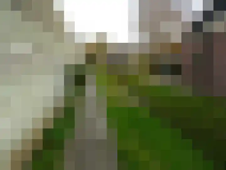 Fabrieksstraat 35 Warmenhuizen thumbnail 22