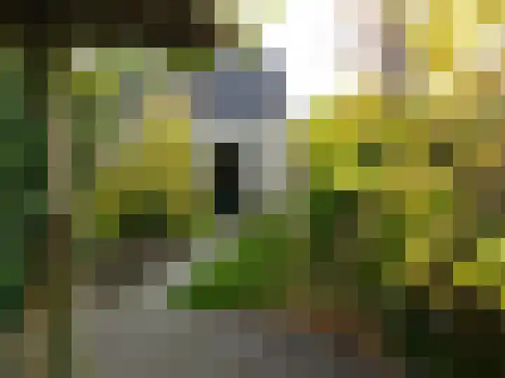 Fabrieksstraat 35 Warmenhuizen thumbnail 5