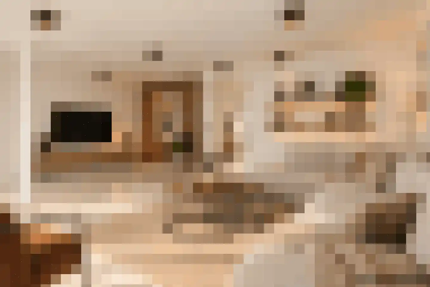 Fabrieksstraat 4 Warmenhuizen thumbnail 17