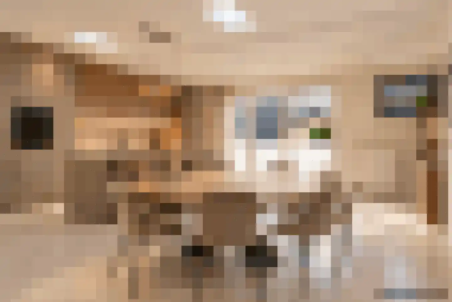 Fabrieksstraat 4 Warmenhuizen thumbnail 29