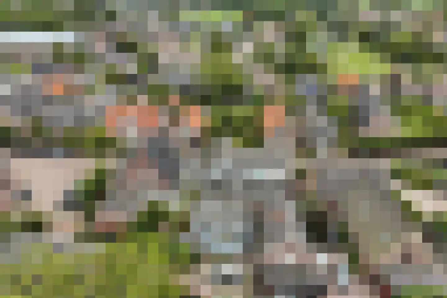 Fabrieksstraat 4 Warmenhuizen thumbnail 6