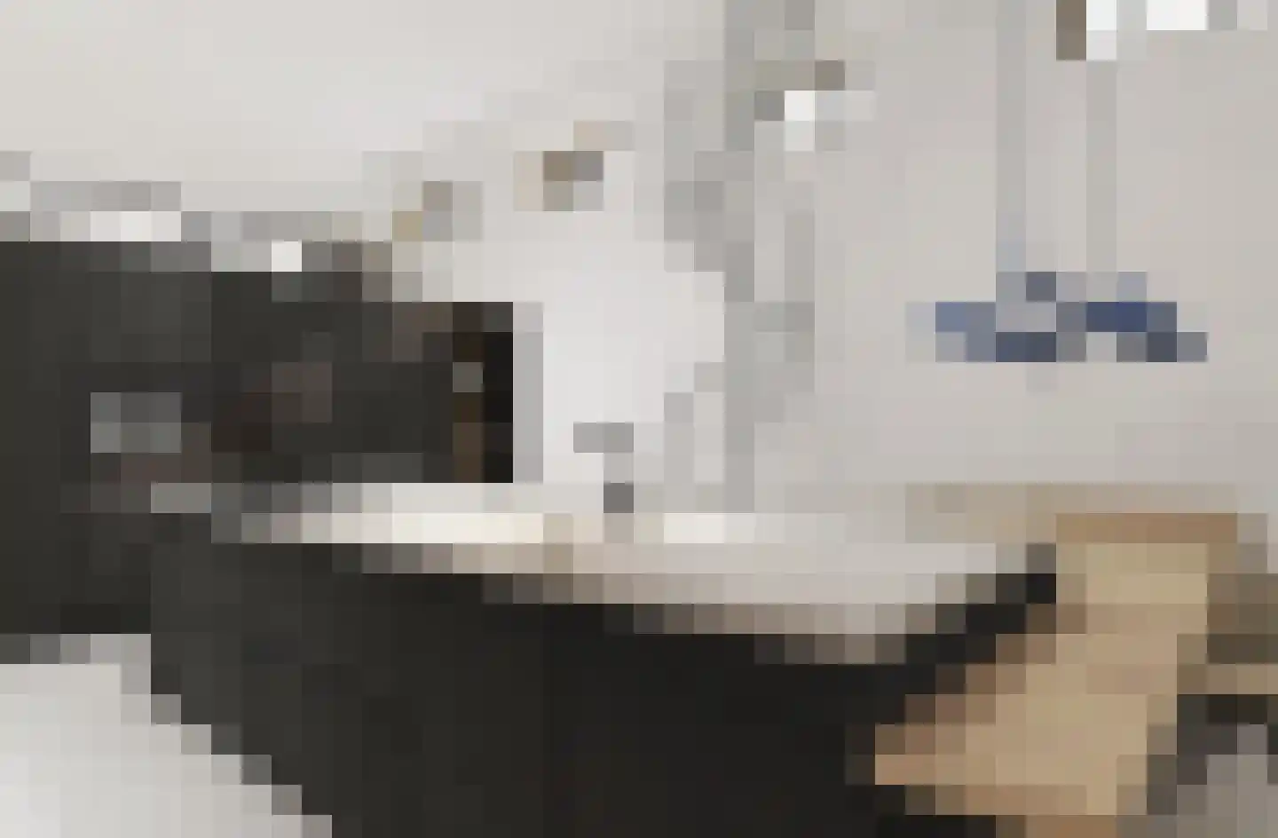 Fabrieksstraat 4 Zurich thumbnail 41