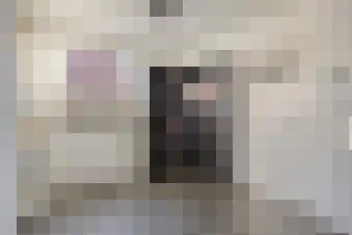 Fabrieksstraat 42 Halsteren thumbnail 12