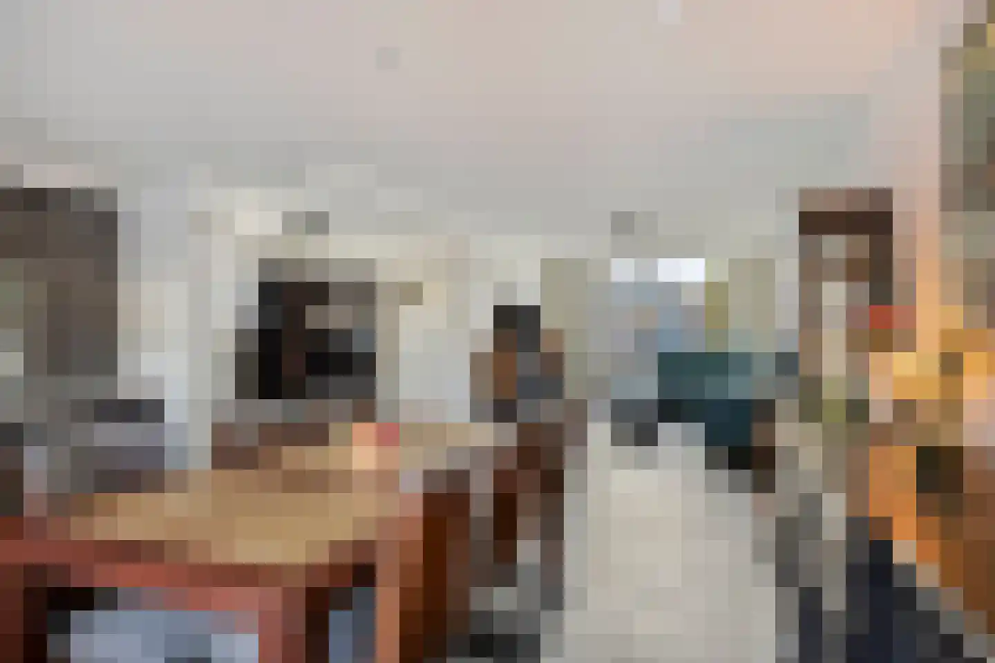 Fabrieksstraat 42 Halsteren thumbnail 17