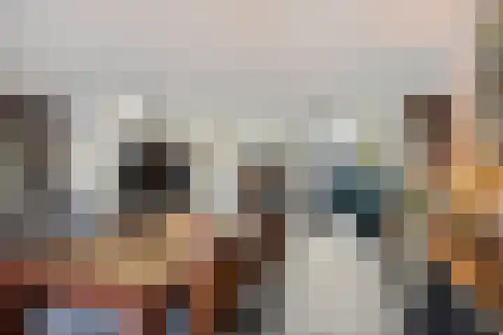 Fabrieksstraat 42 Halsteren thumbnail 17