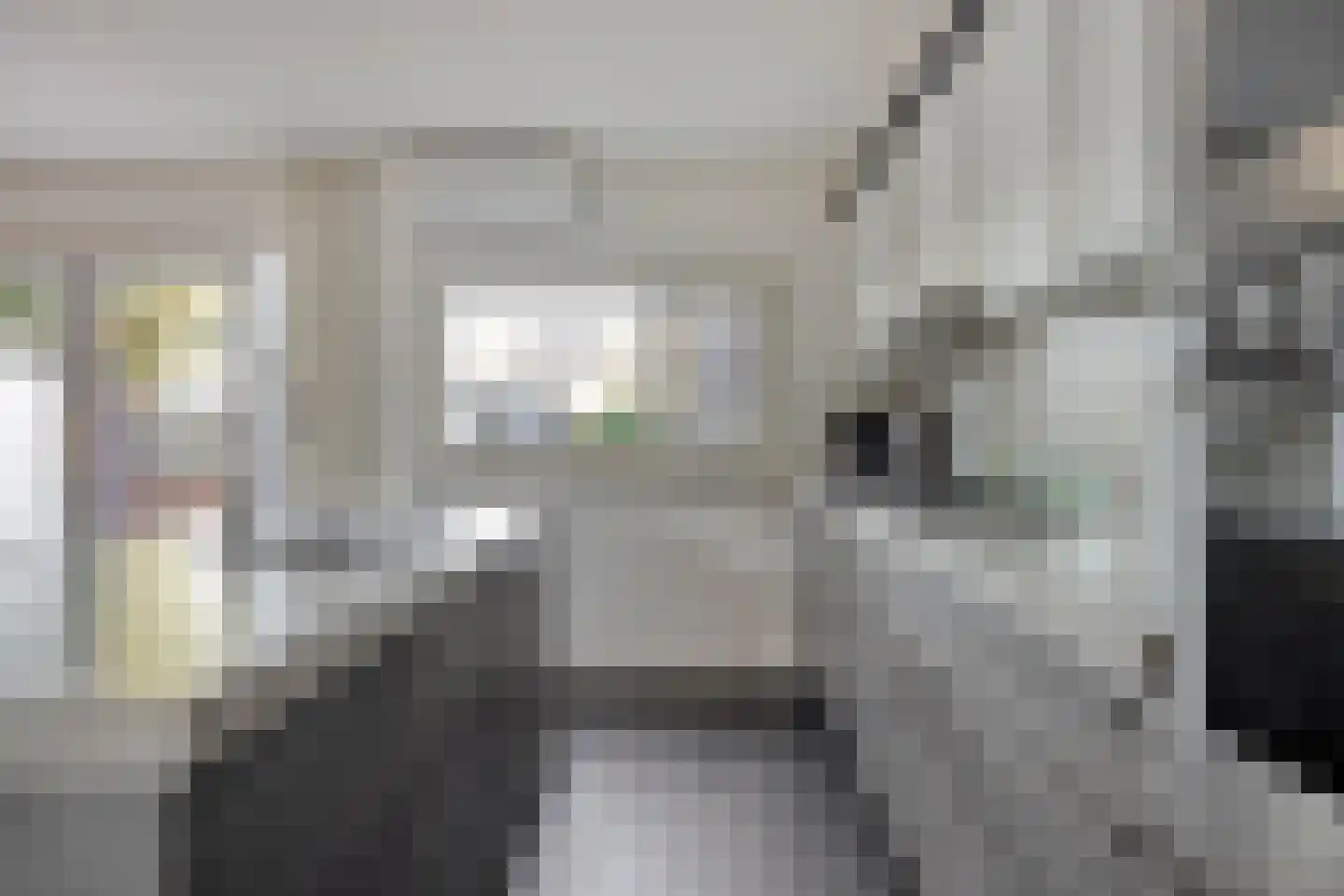 Fabrieksstraat 42 Halsteren thumbnail 21