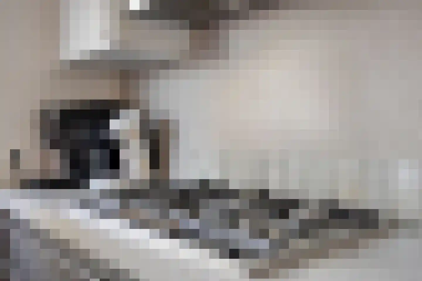Fabrieksstraat 42 Halsteren thumbnail 22
