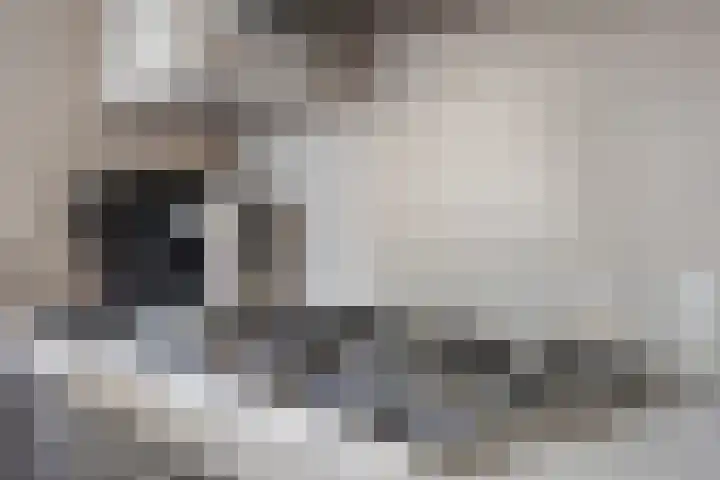 Fabrieksstraat 42 Halsteren thumbnail 22