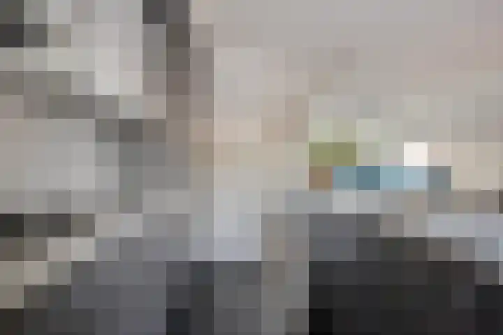 Fabrieksstraat 42 Halsteren thumbnail 23