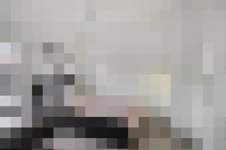 Fabrieksstraat 42 Halsteren thumbnail 33