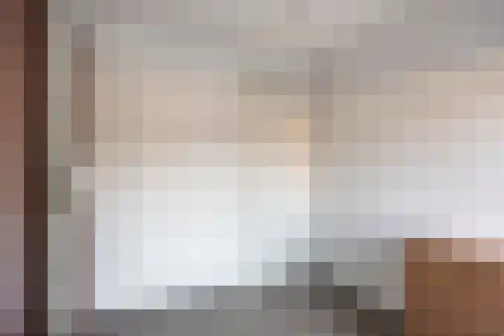 Fabrieksstraat 42 Halsteren thumbnail 37