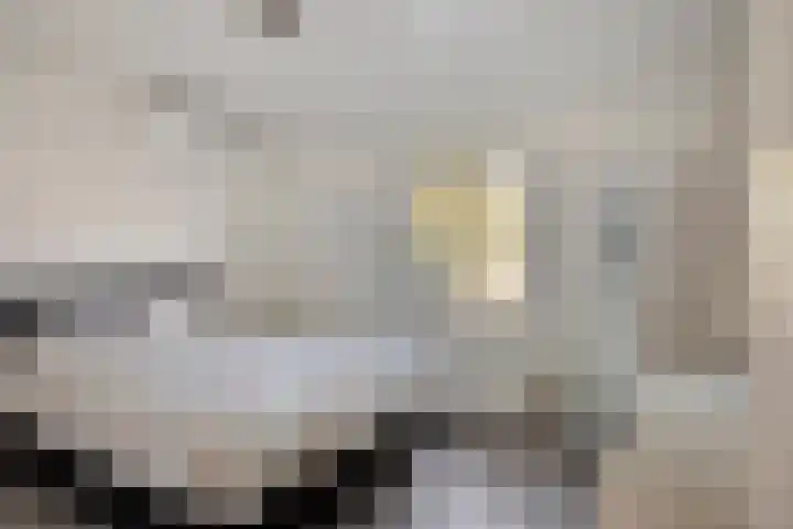 Fabrieksstraat 42 Halsteren thumbnail 4
