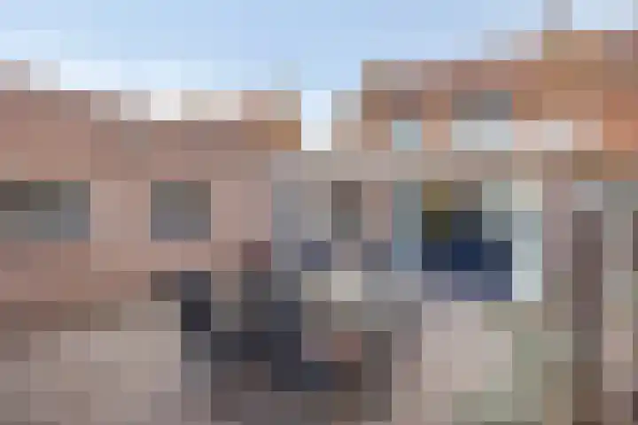 Fabrieksstraat 42 Halsteren thumbnail 42