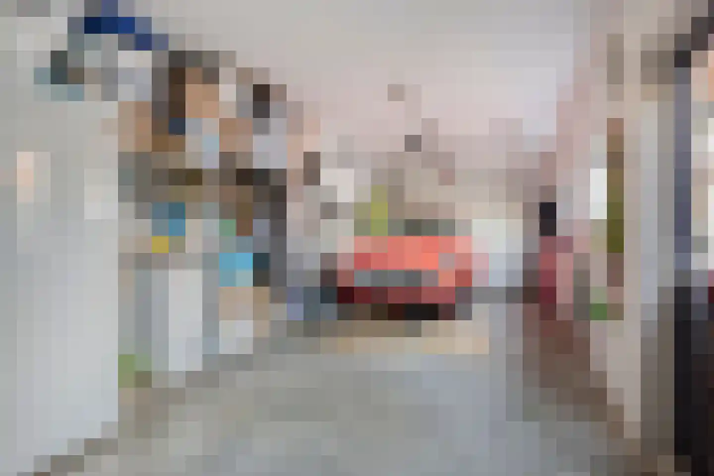 Fabrieksstraat 42 Halsteren thumbnail 43