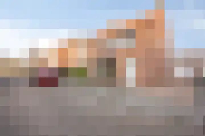 Fabrieksstraat 42 Halsteren thumbnail 47
